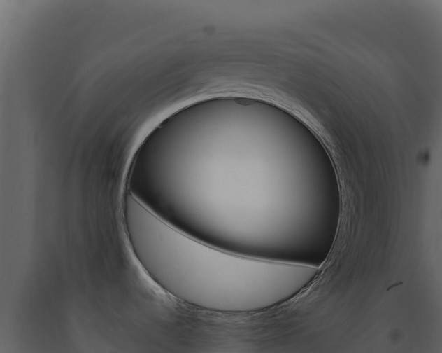 X0000091731536200708241032