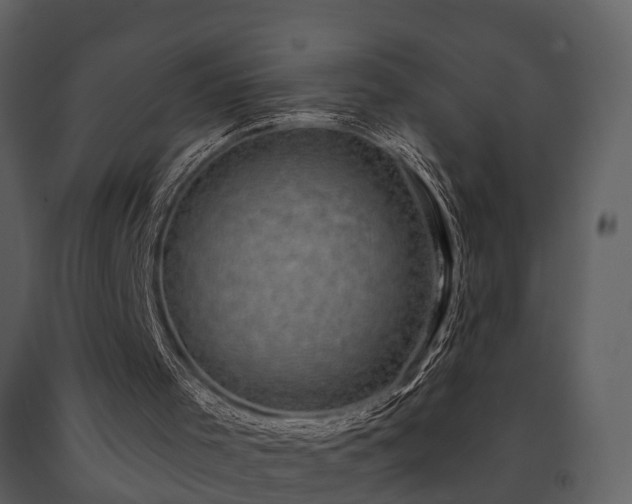 X0000091730001200708241424