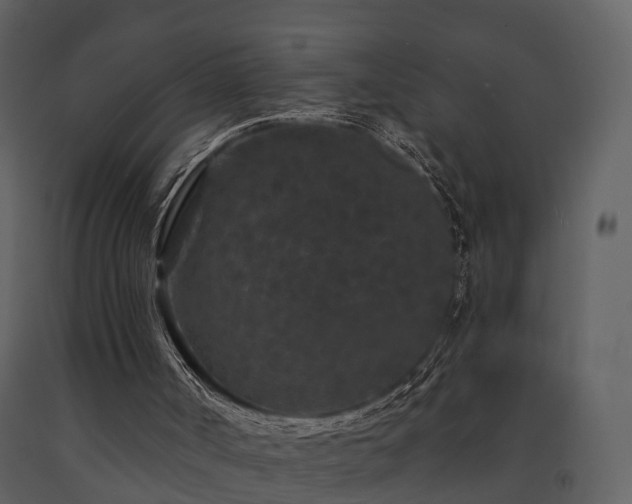 X0000091730002200708241424
