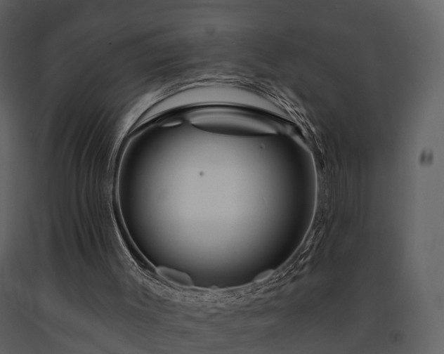 X0000091730003200708241424