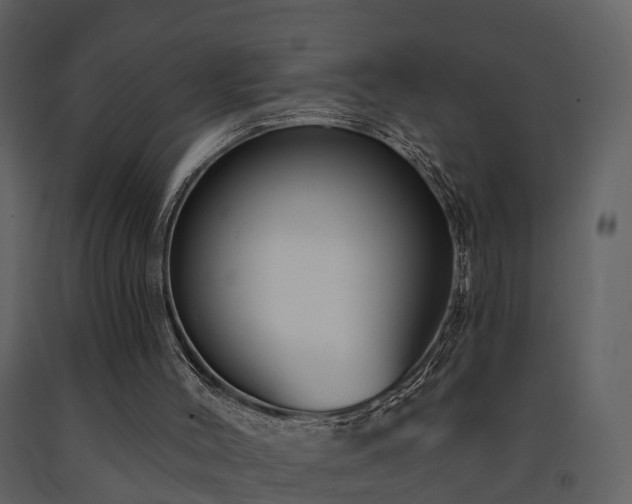 X0000091730004200708241424