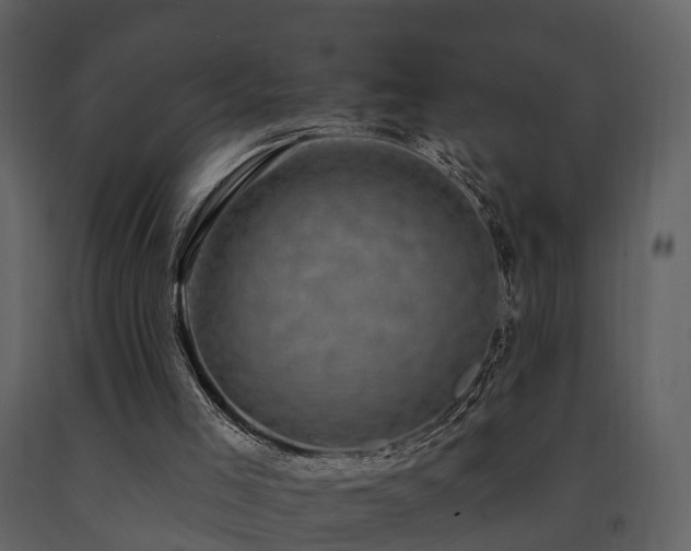X0000091730005200708241424