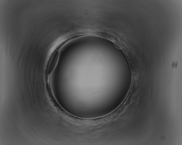X0000091730006200708241424