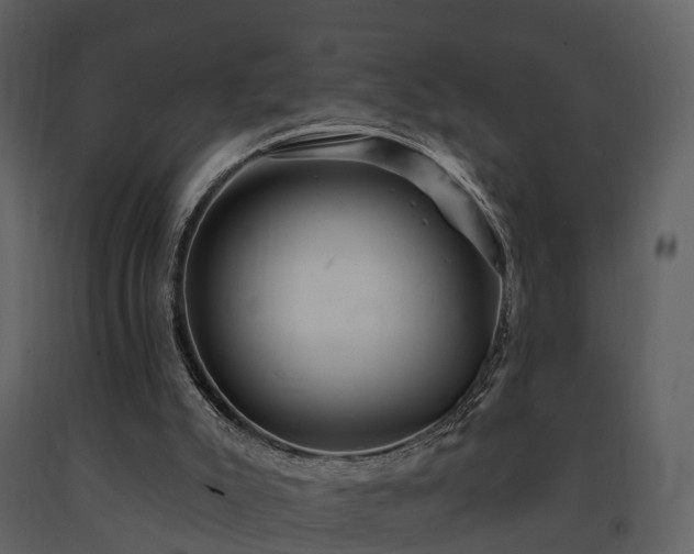 X0000091730007200708241424