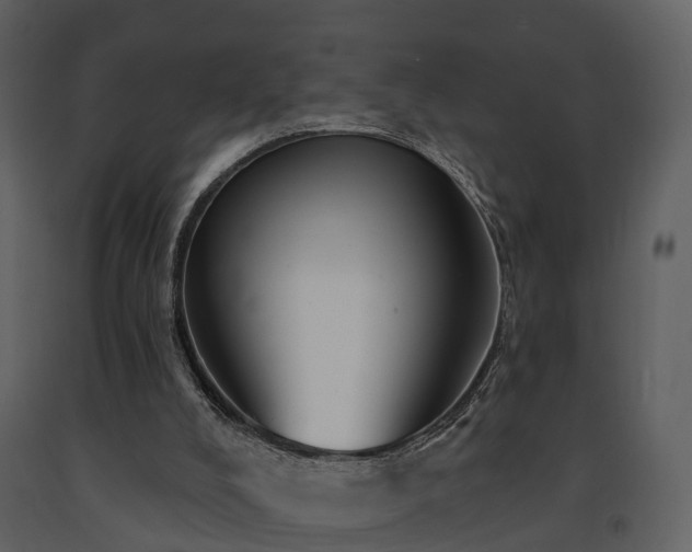X0000091730008200708241424