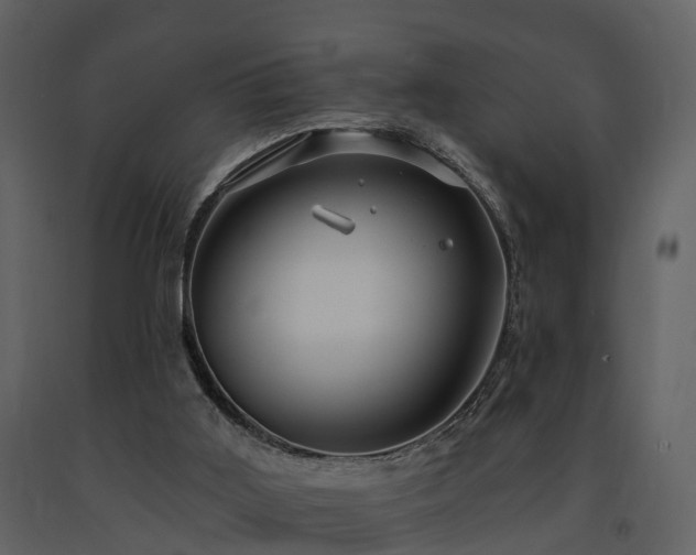X0000091730011200708241424