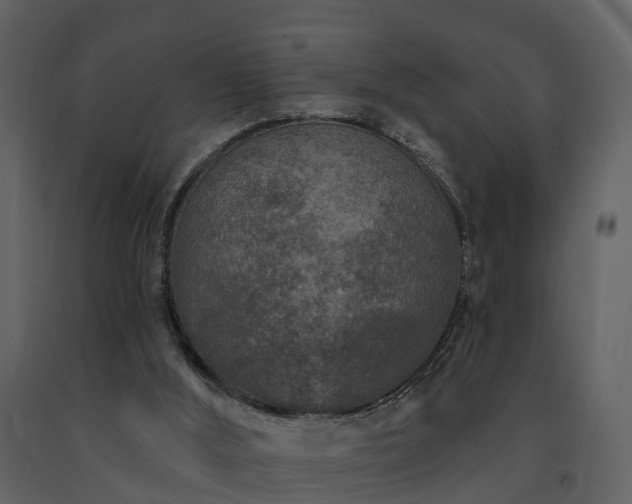 X0000091730012200708241424