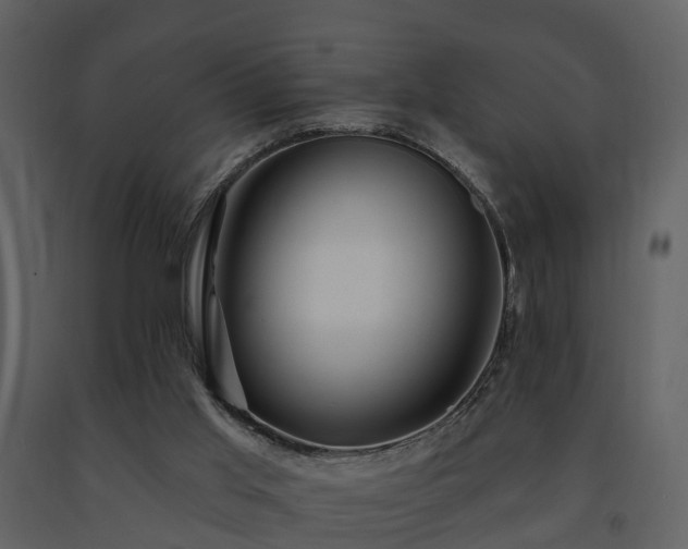 X0000091730013200708241424