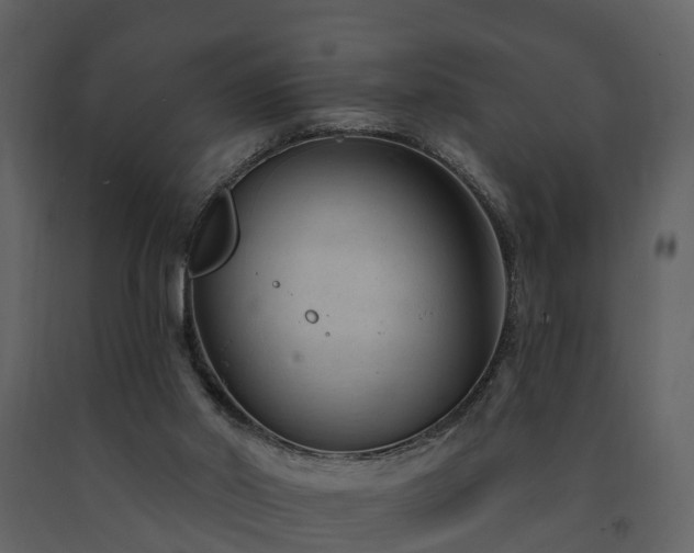 X0000091730014200708241424