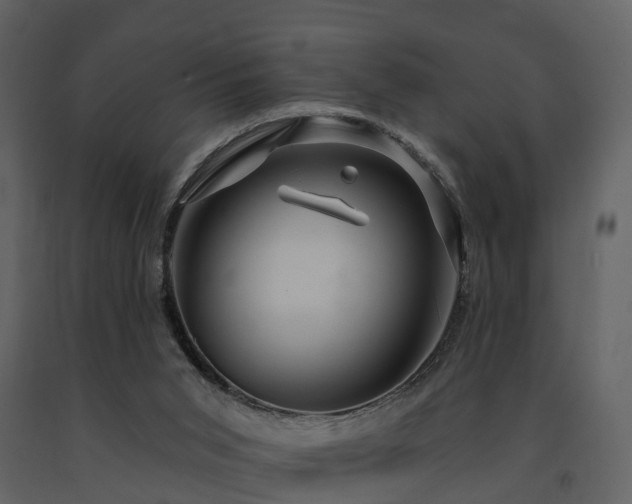 X0000091730015200708241424