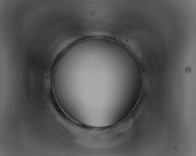 X0000091730016200708241424