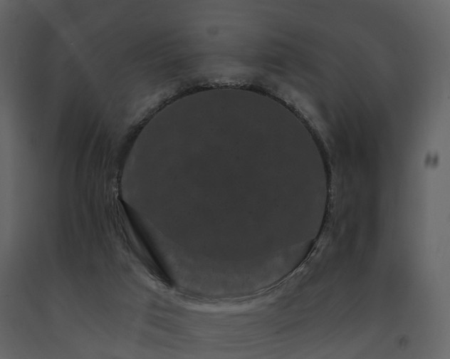 X0000091730017200708241424
