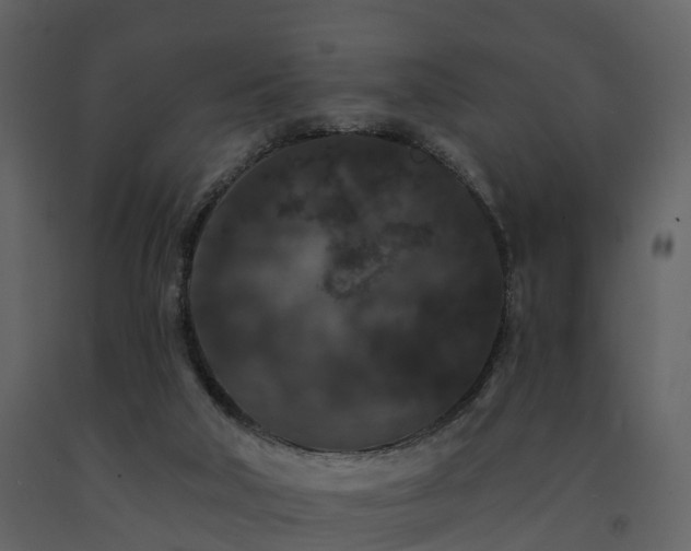 X0000091730018200708241424