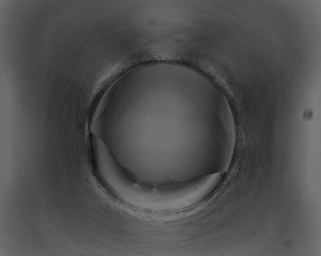 X0000091730019200708241424