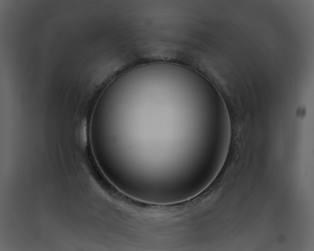 X0000091730020200708241424
