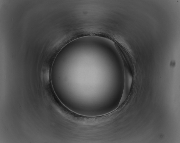 X0000091730021200708241424