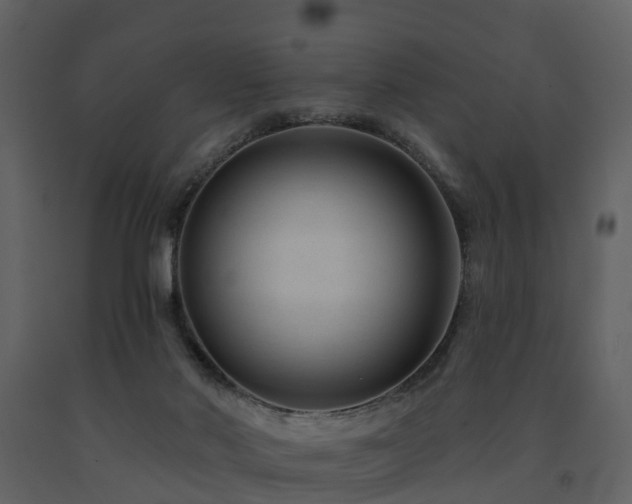 X0000091730022200708241424