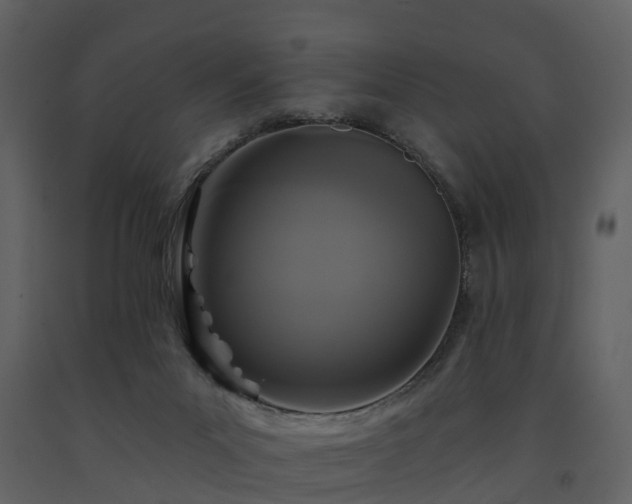 X0000091730023200708241424