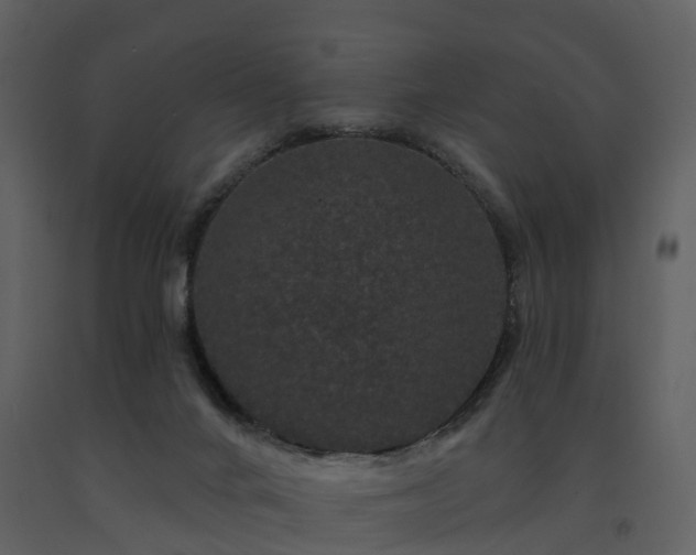 X0000091730024200708241424
