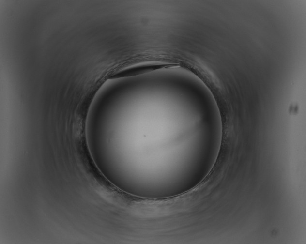 X0000091730025200708241424