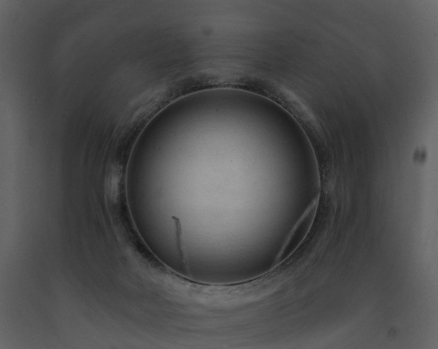 X0000091730026200708241423