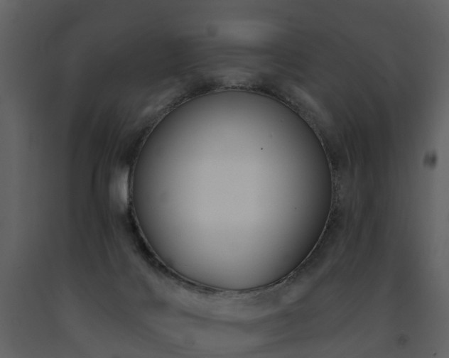 X0000091730028200708241423
