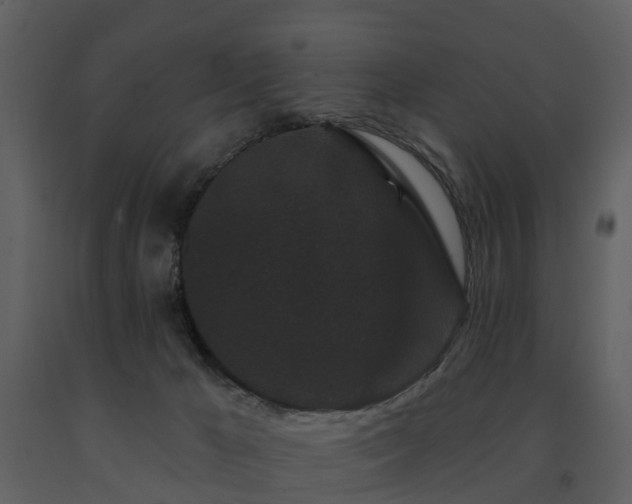 X0000091730029200708241423