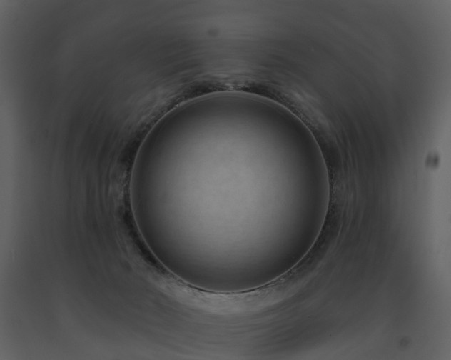 X0000091730030200708241423