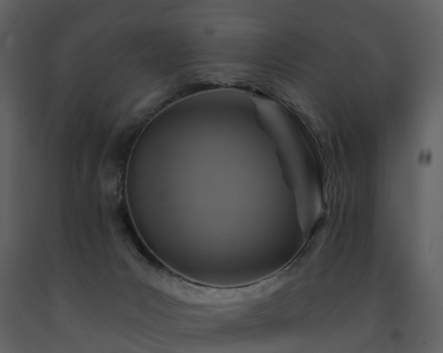 X0000091730031200708241423