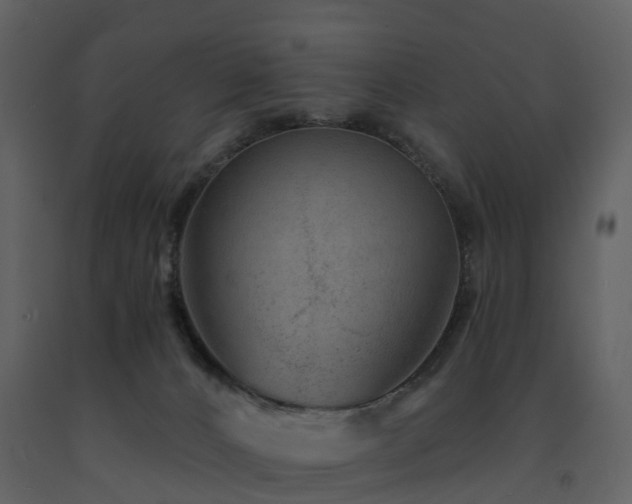 X0000091730032200708241423