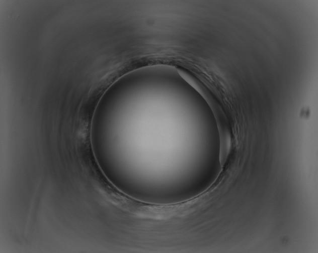 X0000091730033200708241423