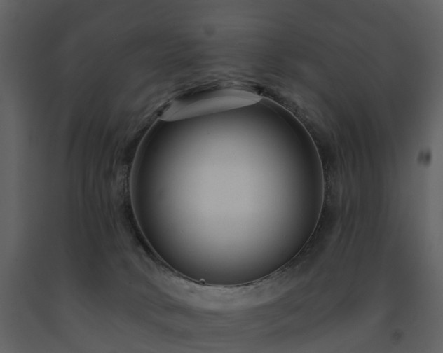 X0000091730034200708241423