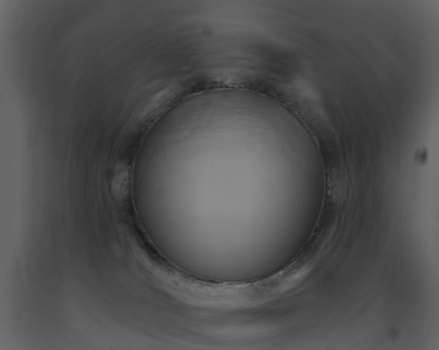 X0000091730036200708241423