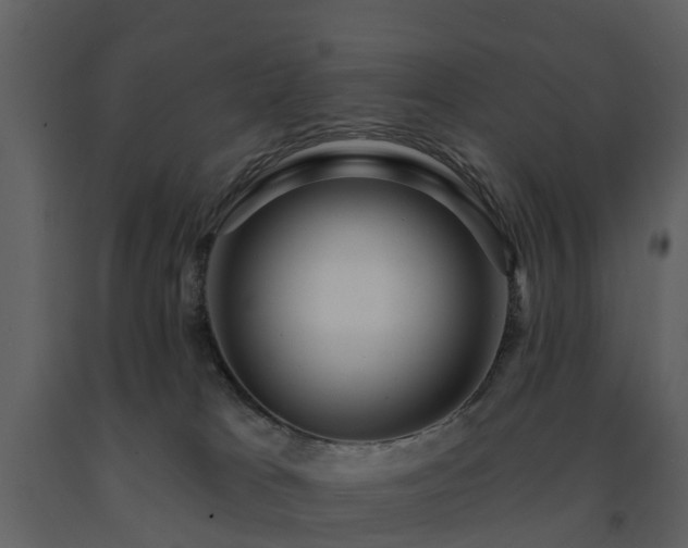 X0000091730037200708241423