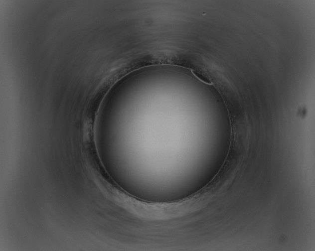 X0000091730038200708241423