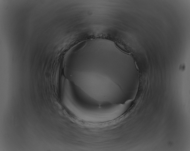 X0000091730039200708241423