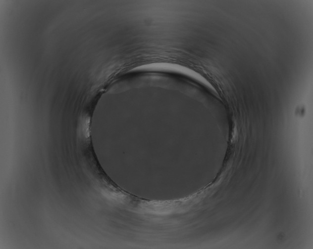 X0000091730041200708241423