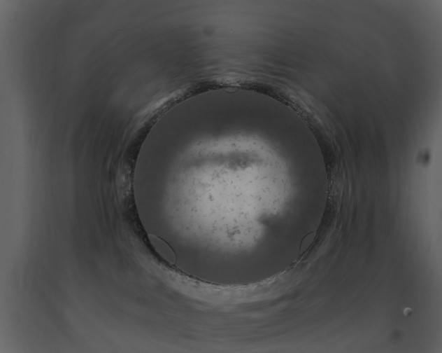 X0000091730043200708241423