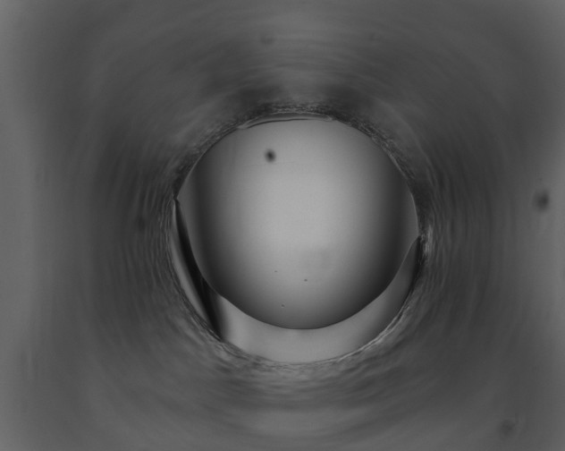 X0000091730045200708241423