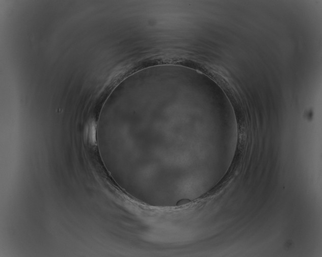 X0000091730046200708241423