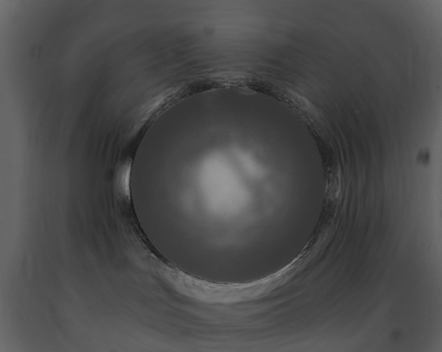 X0000091730047200708241423