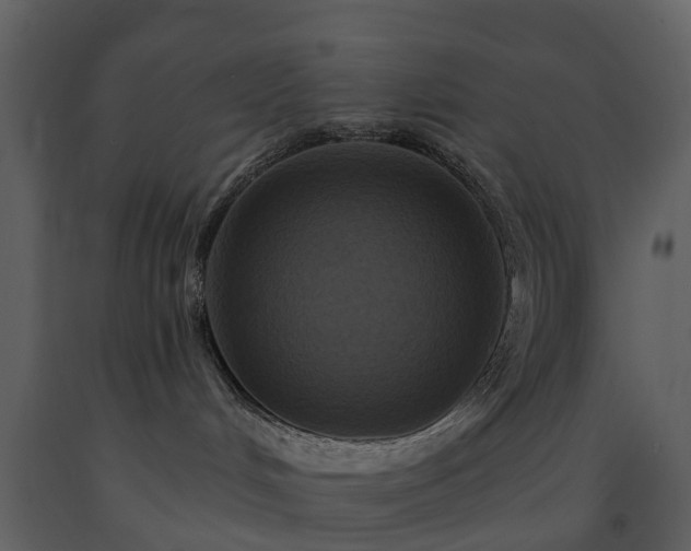 X0000091730048200708241423