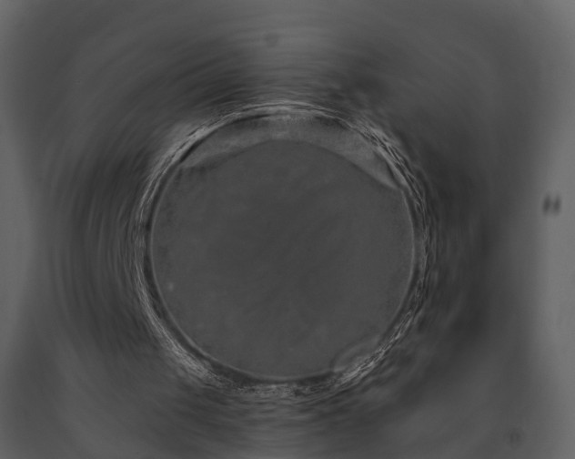 X0000091730049200708241423