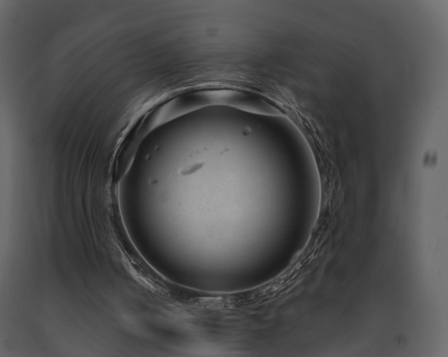 X0000091730050200708241423