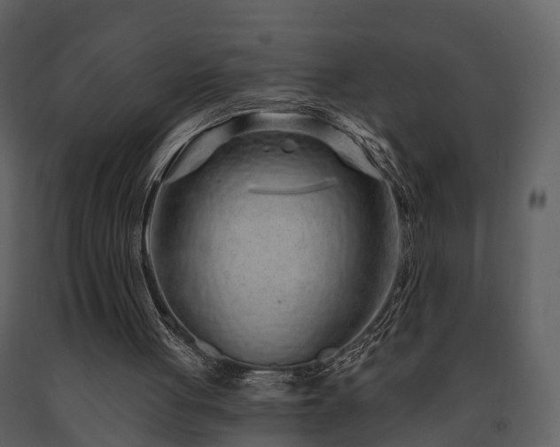X0000091730051200708241423