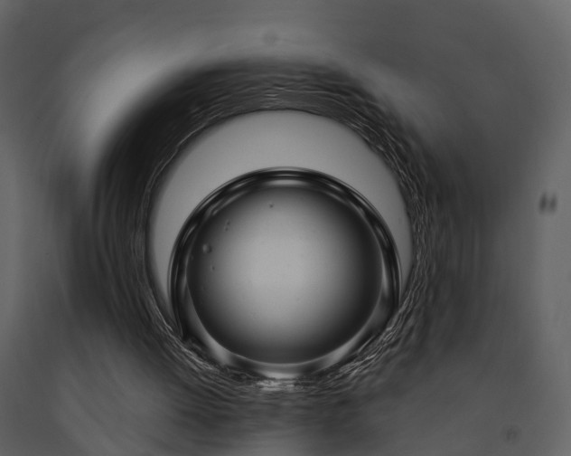 X0000091730052200708241423