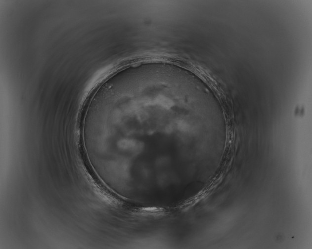 X0000091730053200708241423