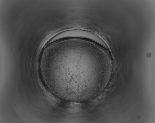 X0000091730055200708241423