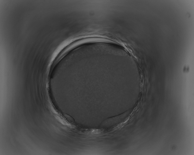 X0000091730056200708241423