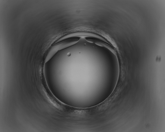 X0000091730057200708241423